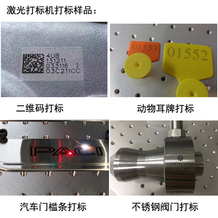 打標激光機案例